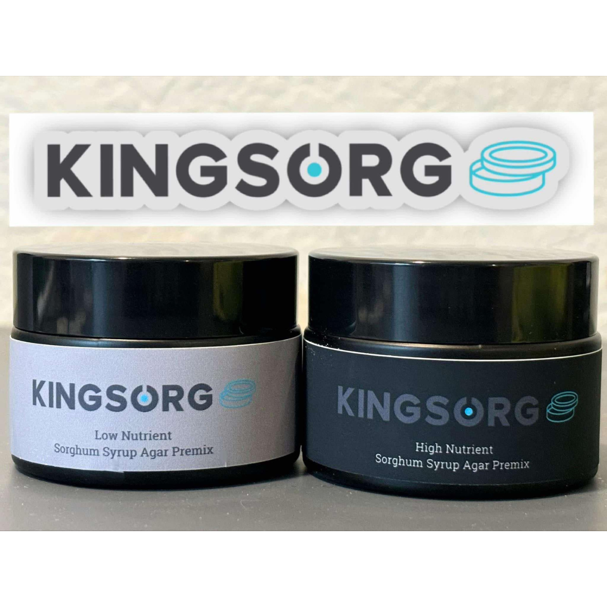 Kingsorg Sample Bundle Pack