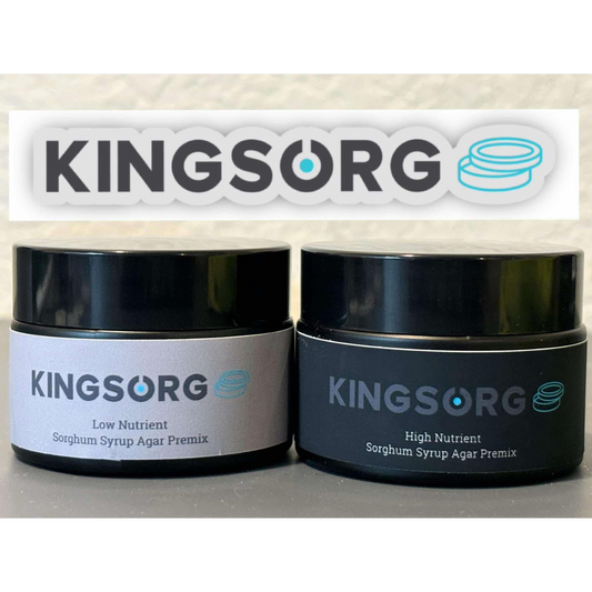 Kingsorg Sample Bundle Pack